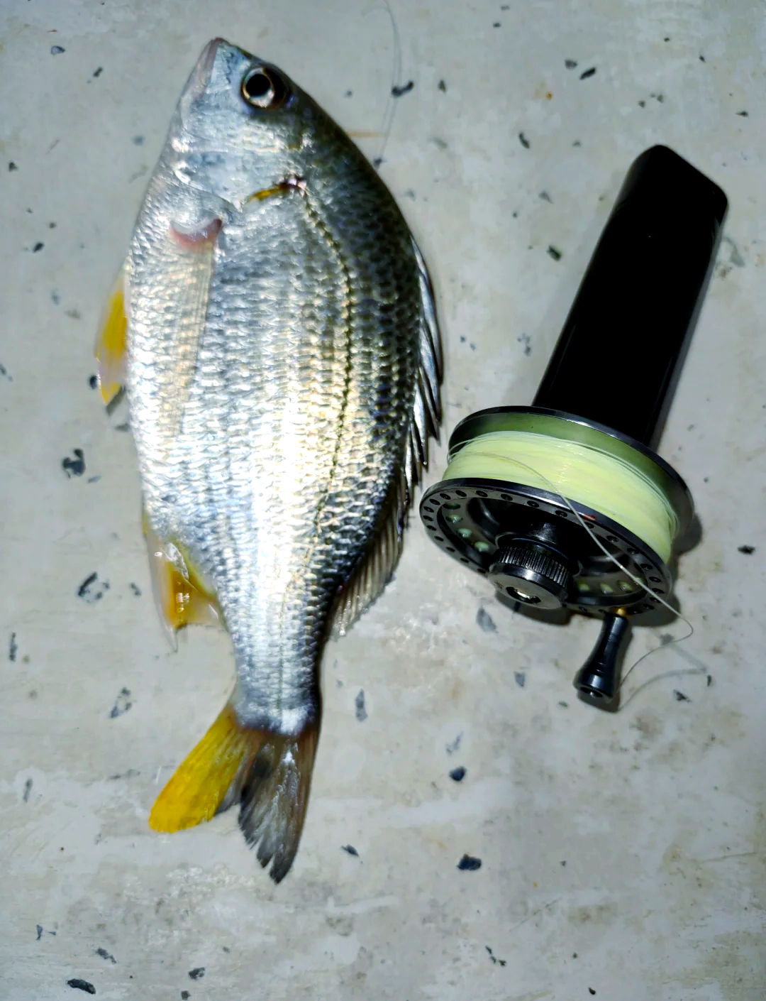 自制路亚竿视频(自制路亚竿需要什么材料)