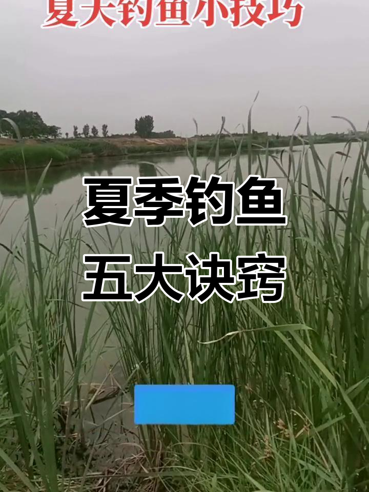 夏季晚上野钓钓鱼技巧(夏天晚上钓鱼应该钓深水还是浅水)