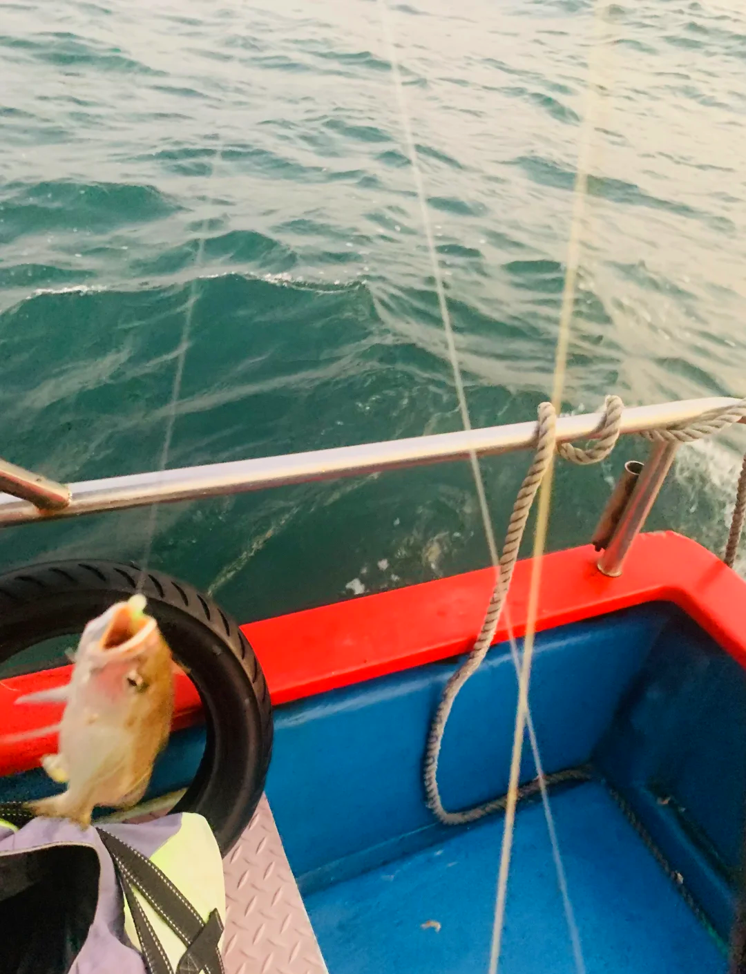 台山海钓鱼(台山海钓鱼排) 台山海钓鱼(台山海钓鱼排)