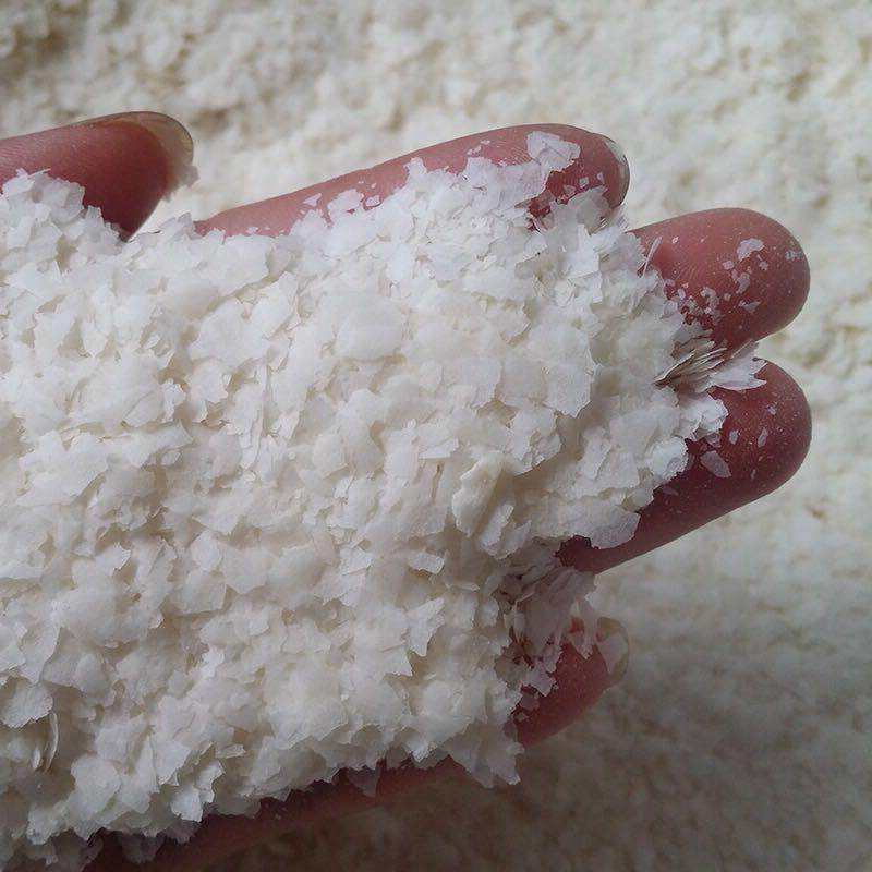 饵料状态粉(饵料状态粉的作用) 饵料状态粉(饵料状态粉的作用)