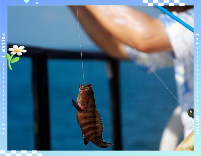 海钓如何克服晕船(海钓如何克服晕船的方法)