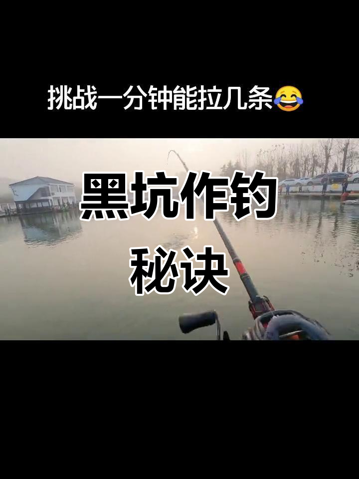 石家庄黑坑技巧(石家庄打黑鱼的地方)