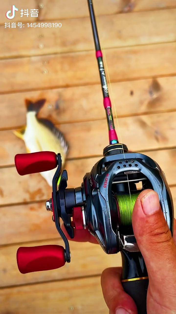 深圳路亚培训(深圳路亚培训学校)