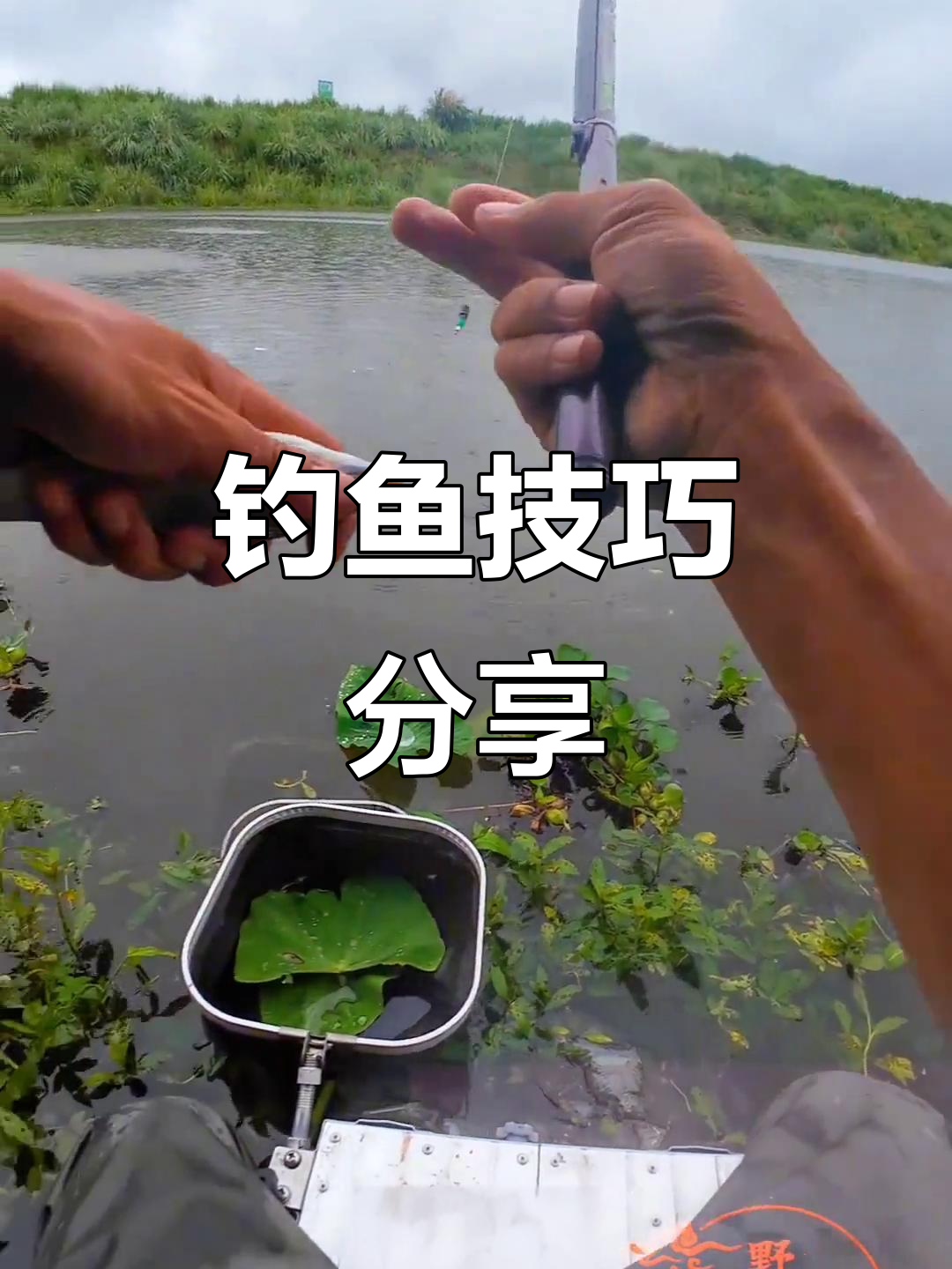 广东钓鲮鱼技巧集锦(广东钓鲮鱼用什么饵料最好)