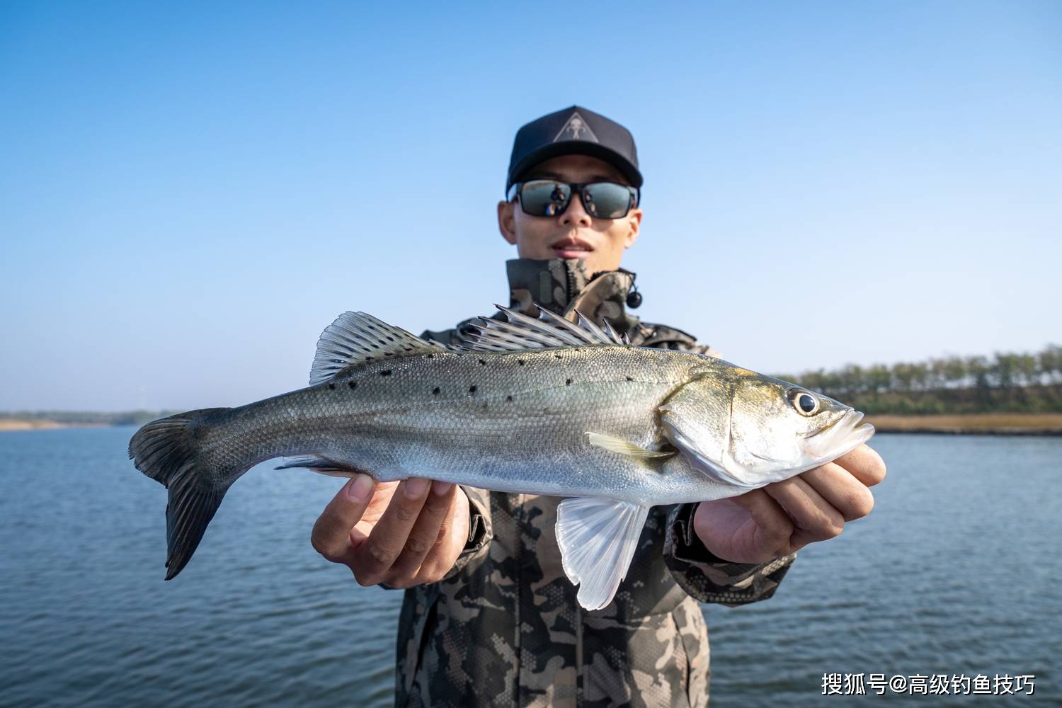 北方初春海钓鲈鱼(春天钓海鲈鱼在什么水层) 北方初春海钓鲈鱼(春天钓海鲈鱼在什么水层)