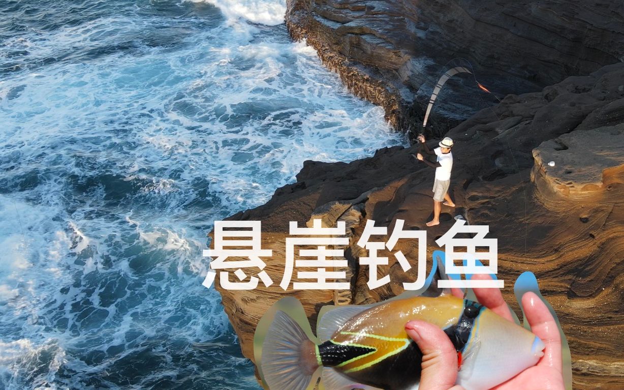 夏威夷出海钓鱼费用(夏威夷最适合浮潜的地方)