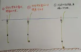 海竿汉江钓草鱼技巧(汉江钓鱼用多长的鱼竿)