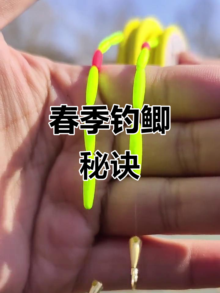 初春台钓饵料搭配(初春台钓饵料搭配图)