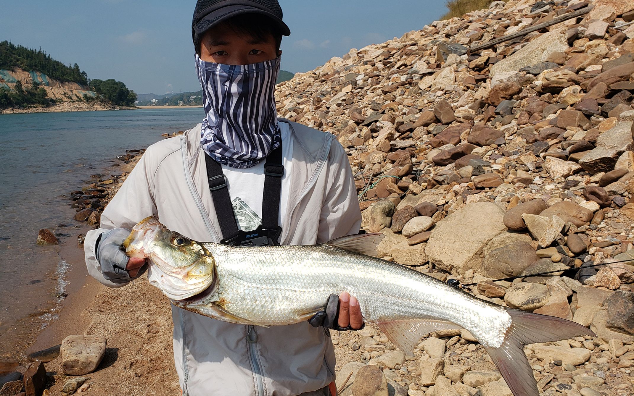 蝮蛇路亚翘嘴(路亚翘嘴用水蛭还是蝮蛇好)