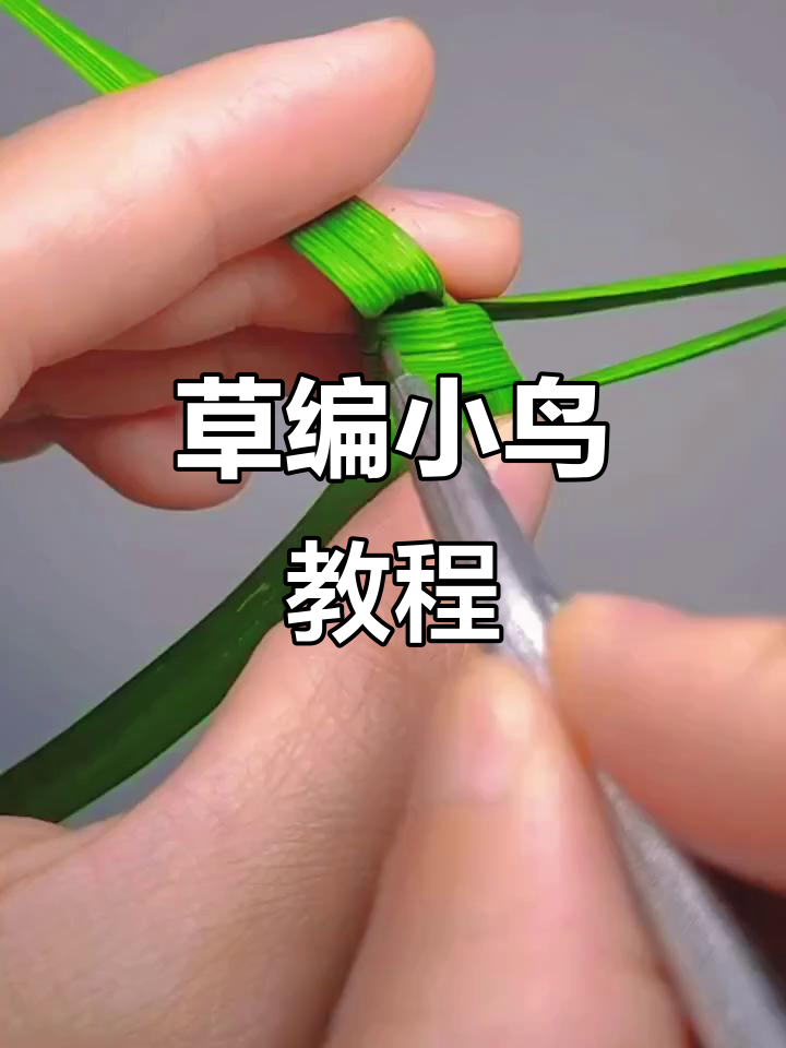 打草窝子技巧(怎么打草窝钓鱼)