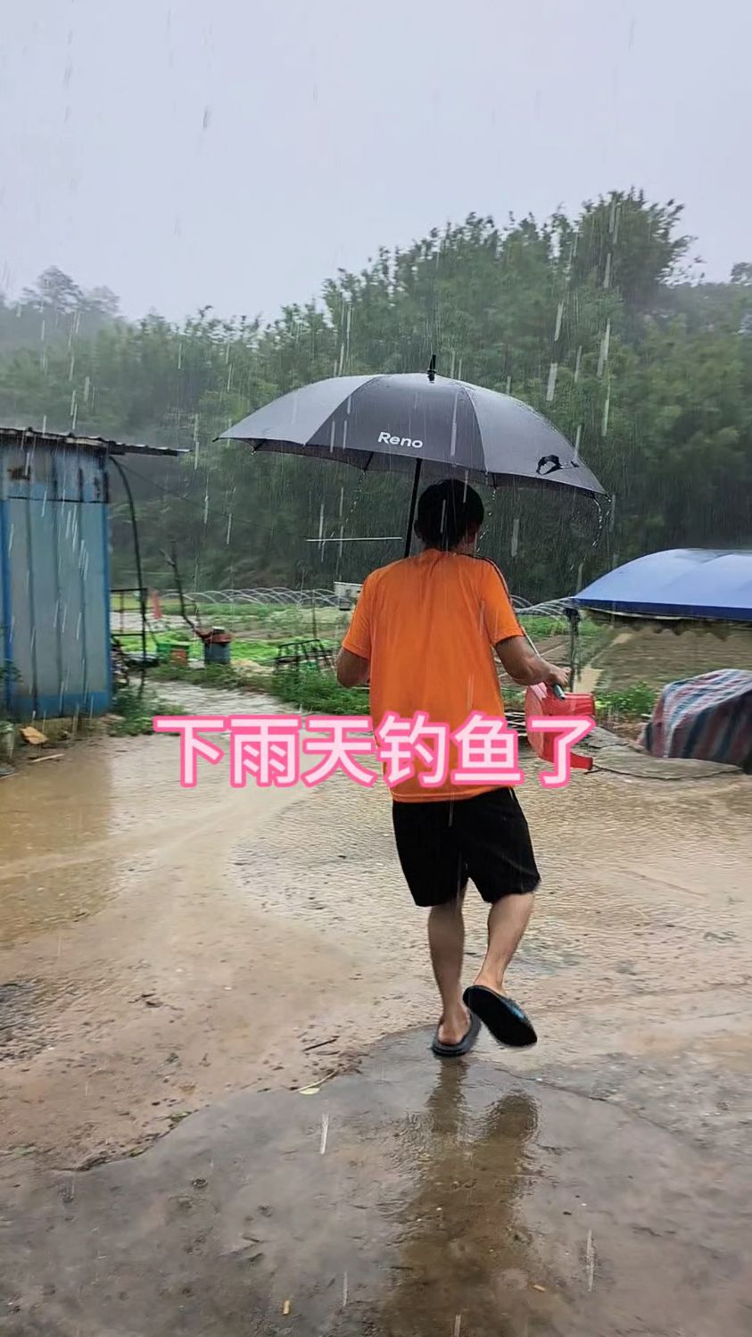 海钓下雨有鱼吗(海钓下雨适合钓鱼吗?) 海钓下雨有鱼吗(海钓下雨适合钓鱼吗?)