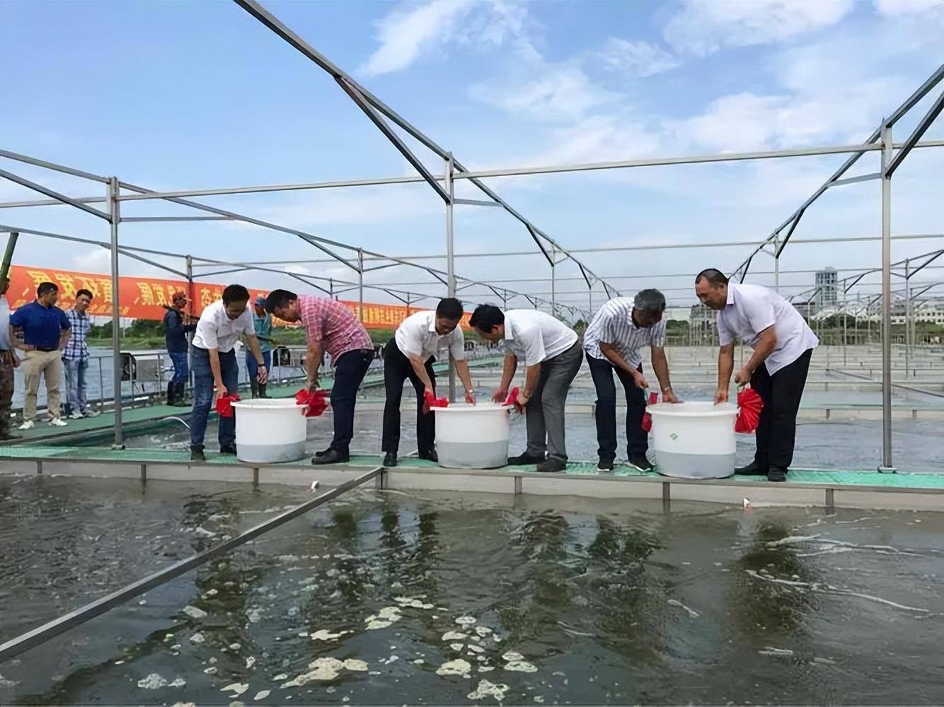 鳜鱼饵料安装(鳜鱼软饵怎么挂钩) 鳜鱼饵料安装(鳜鱼软饵怎么挂钩)