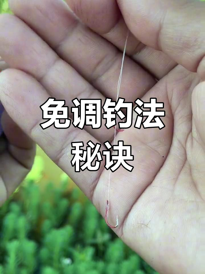 传统七星漂钓鱼技巧(传统七星漂怎样用饵料) 传统七星漂钓鱼技巧(传统七星漂怎样用饵料)