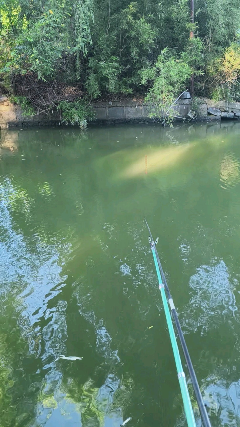 跑钓鱼技巧视频(钓鱼跑铅钓法图解) 跑钓鱼技巧视频(钓鱼跑铅钓法图解)