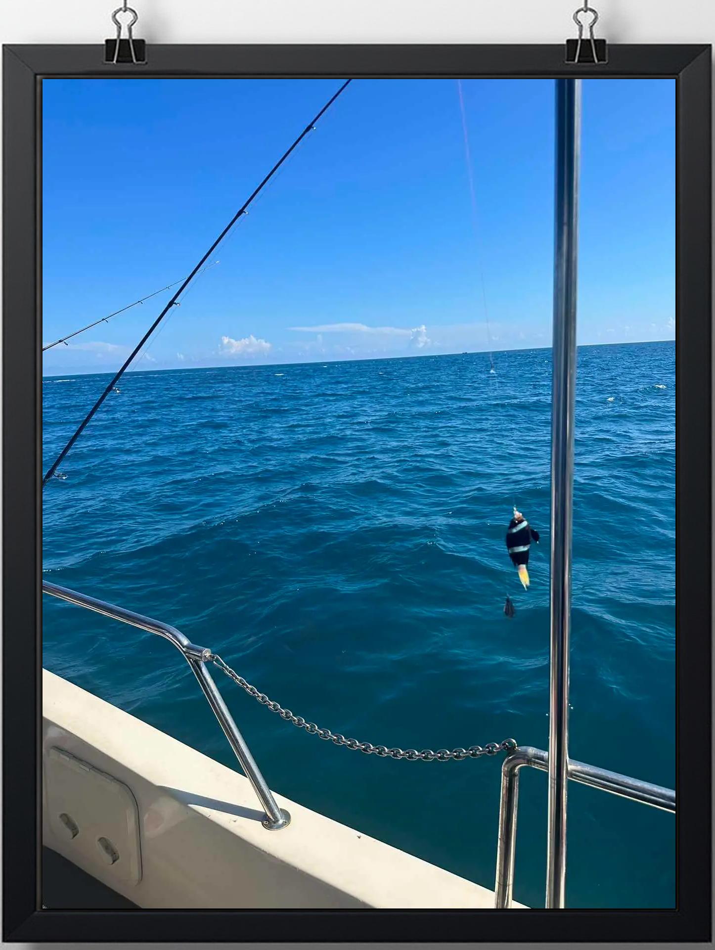 南油游艇海钓(南油深海船钓报价)