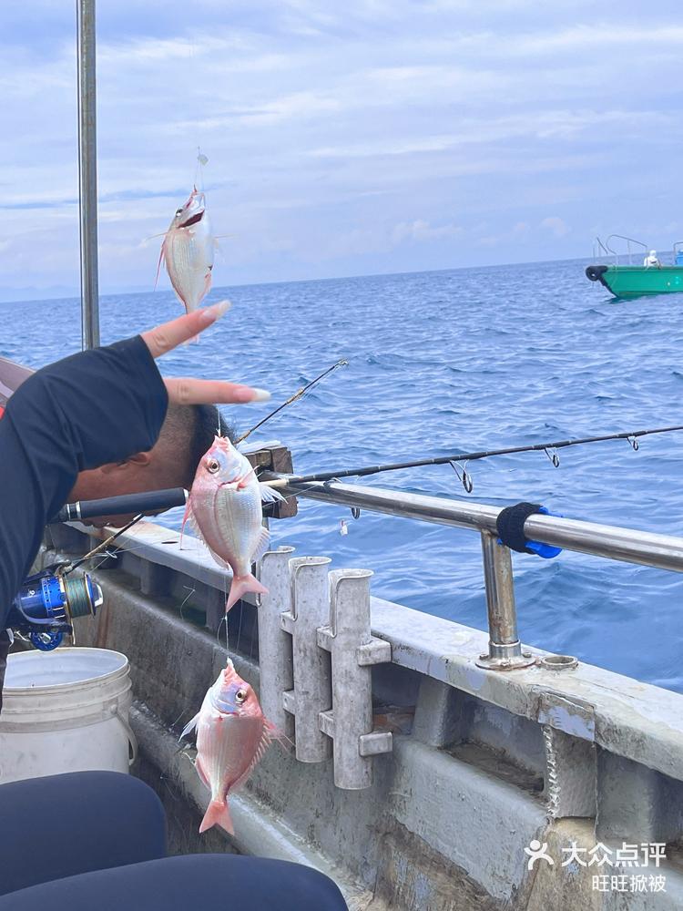 南油游艇海钓(南油深海船钓报价)