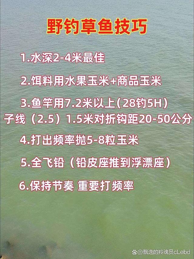 重唇鱼钓法饵料配方法(重唇鱼喜欢什么味型饵料) 重唇鱼钓法饵料配方法(重唇鱼喜欢什么味型饵料)