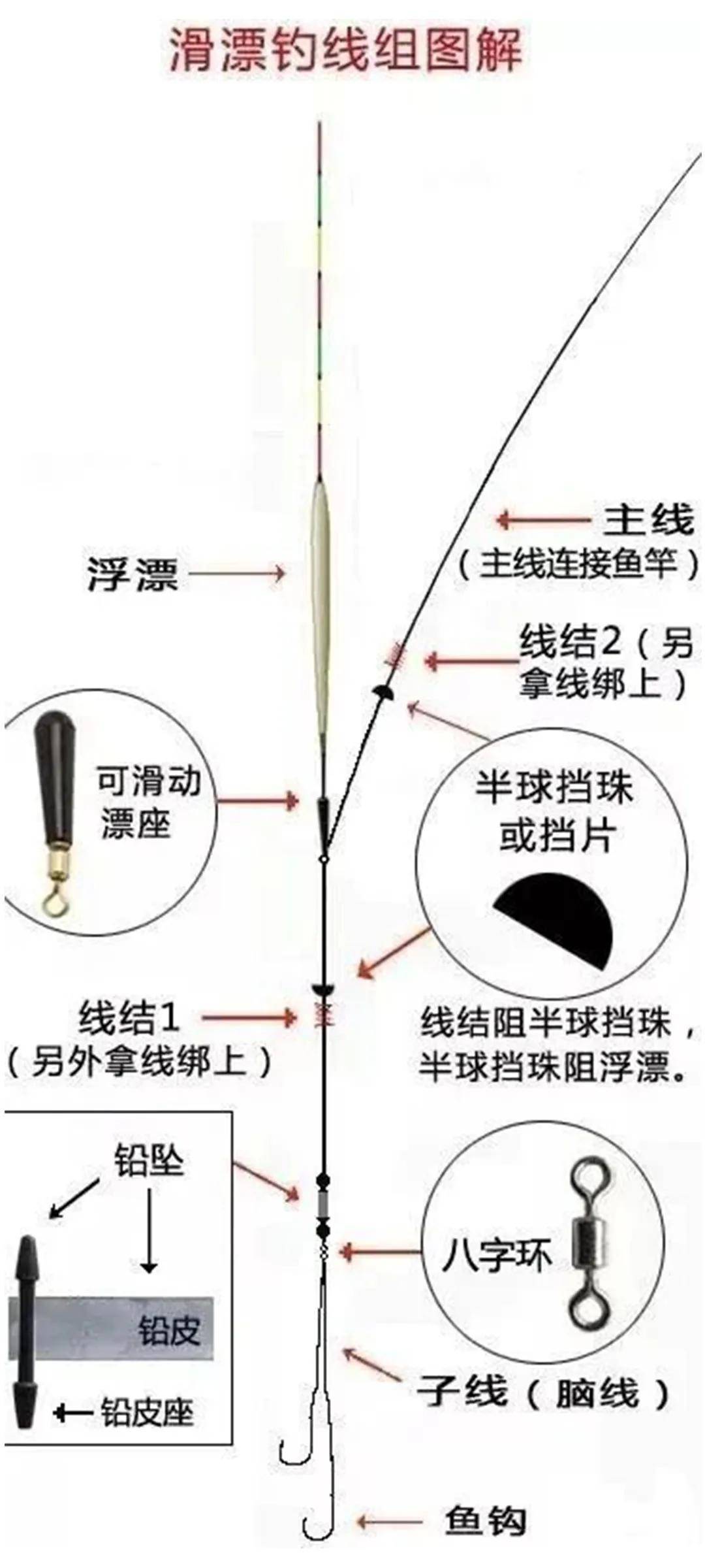 海钓矶竿多大主线(海钓矶钓竿用几号线最合适) 海钓矶竿多大主线(海钓矶钓竿用几号线最合适)