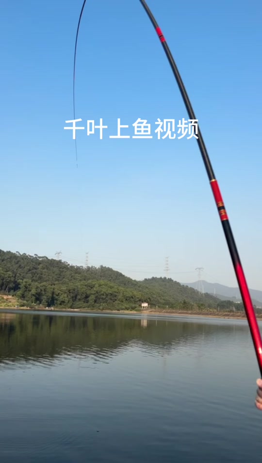 鱼大渔具直播(渔具直播怎么样)