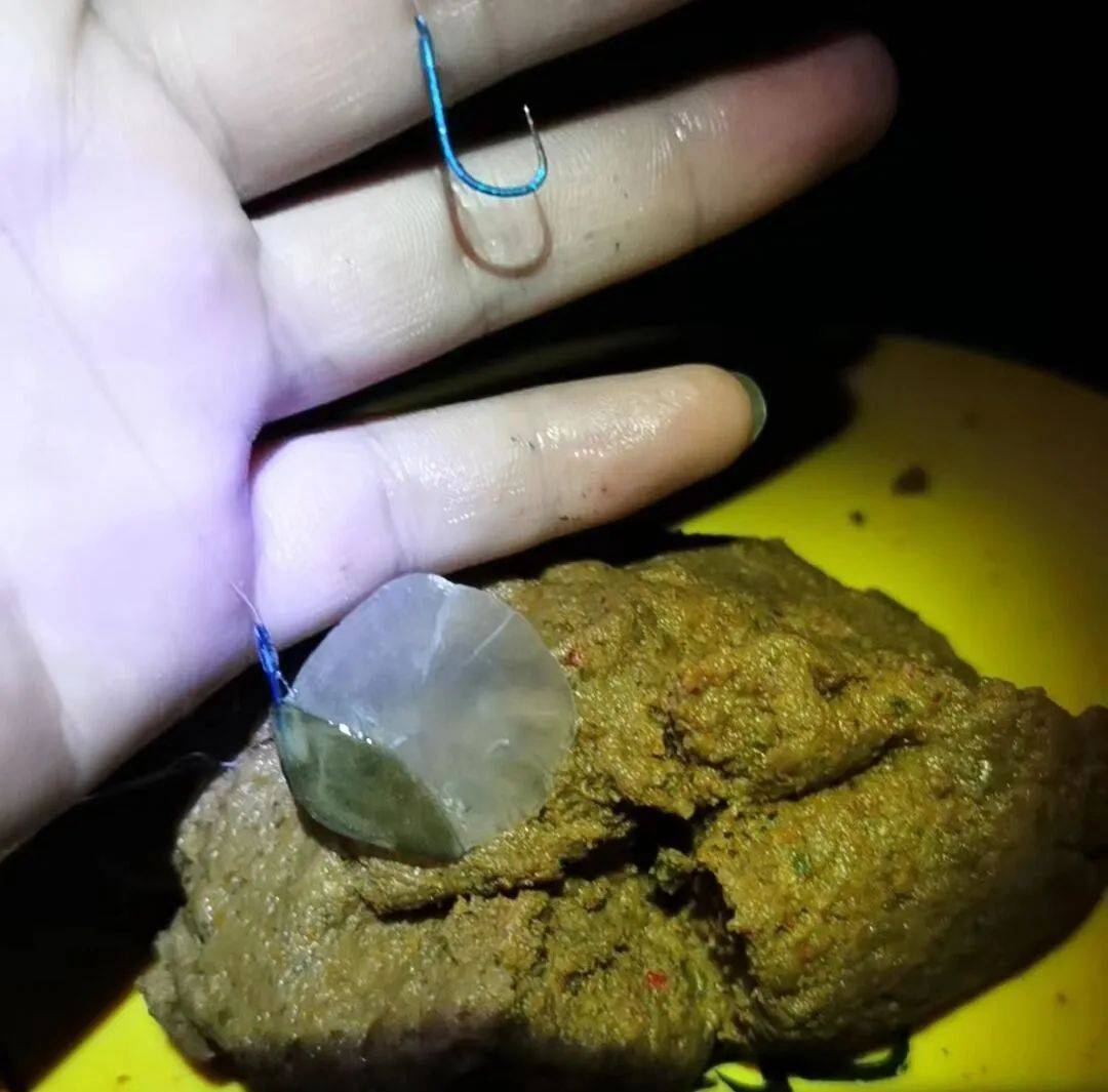 黄酒拌饵料(黄酒开饵效果怎么样)