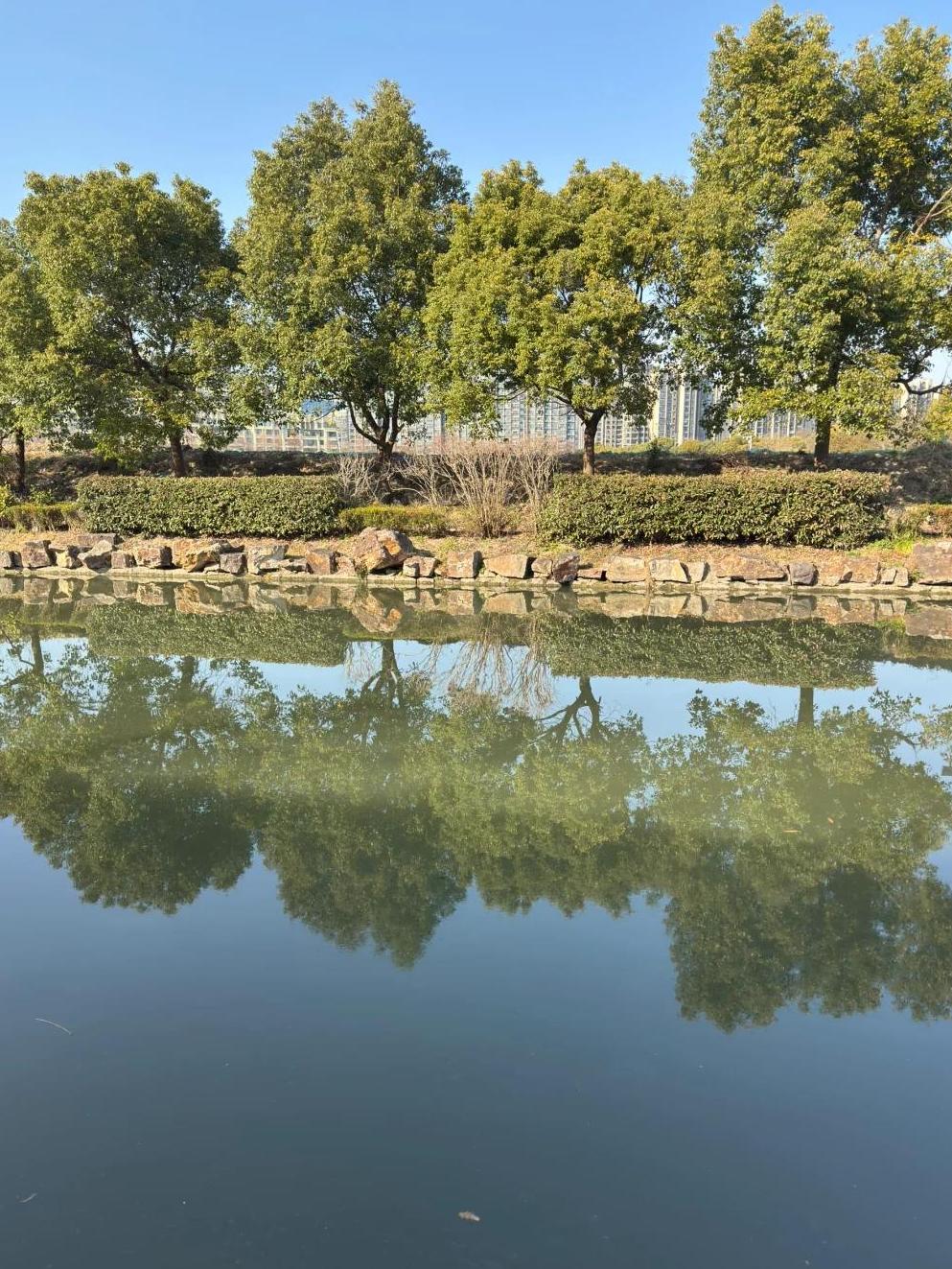 上海钓鱼在哪(上海钓鱼在哪儿钓)