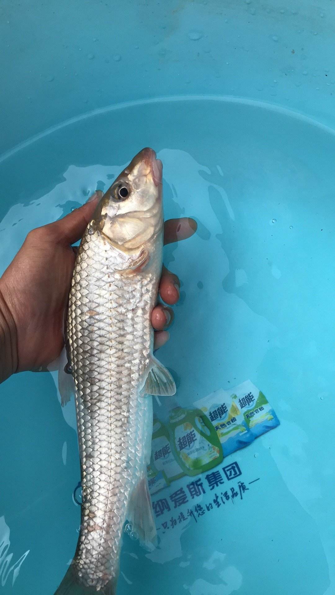 渔具地蹦子图片(地蹦子是什么意思)