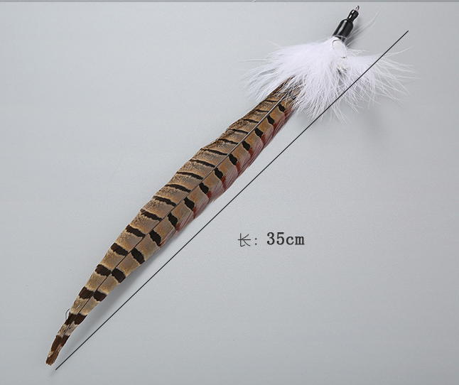 大连小猫渔具(大连小猫渔具店地址) 大连小猫渔具(大连小猫渔具店地址)