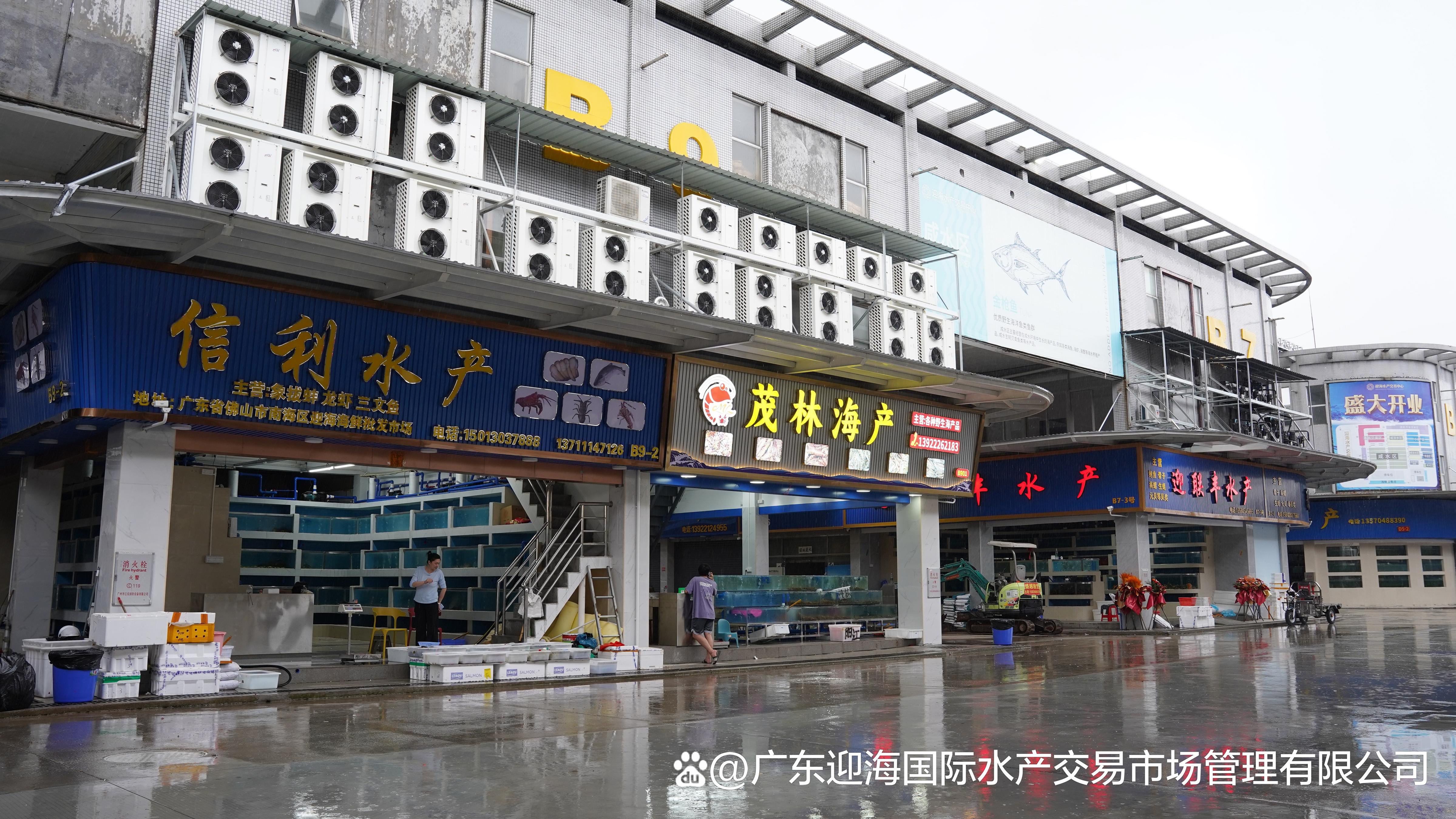 广州大塘渔具店(广州大型渔具批发市场)