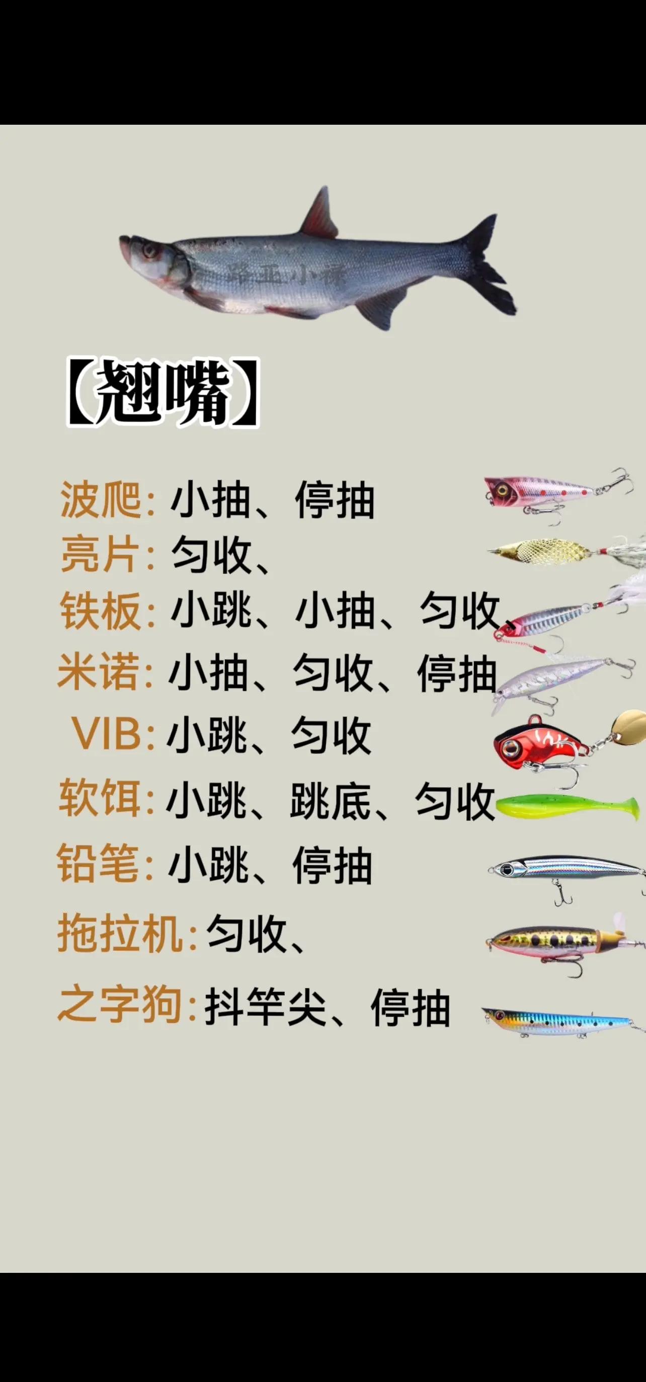 路亚饵选购(路亚饵种类非常多如何选择)