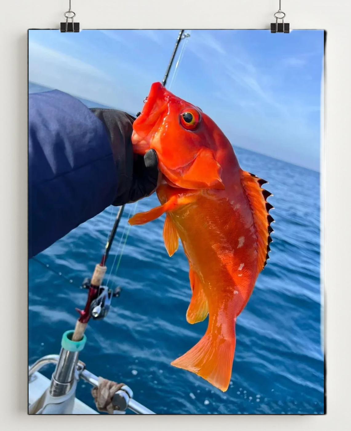 2019鲘门海钓(汕头海门钓鱼的好地方) 2019鲘门海钓(汕头海门钓鱼的好地方)