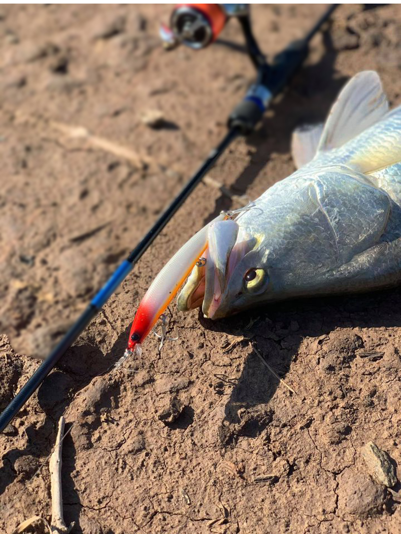 米诺海钓(米诺海钓怎么样) 米诺海钓(米诺海钓怎么样)