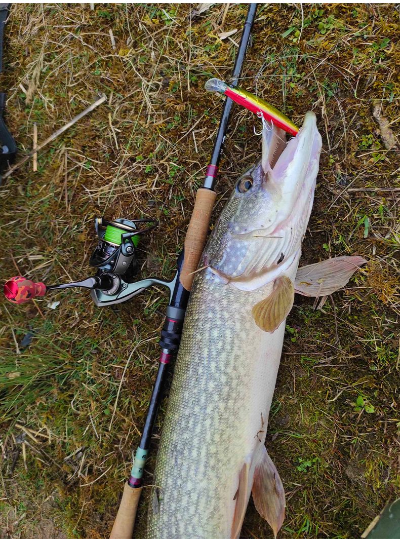 米诺海钓(米诺海钓怎么样) 米诺海钓(米诺海钓怎么样)