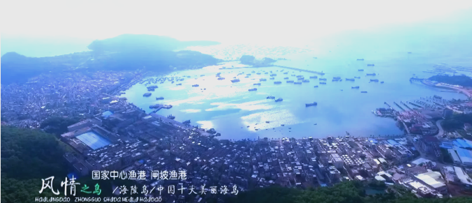 阳江海钓网(阳江市哪里海边有鱼钓)