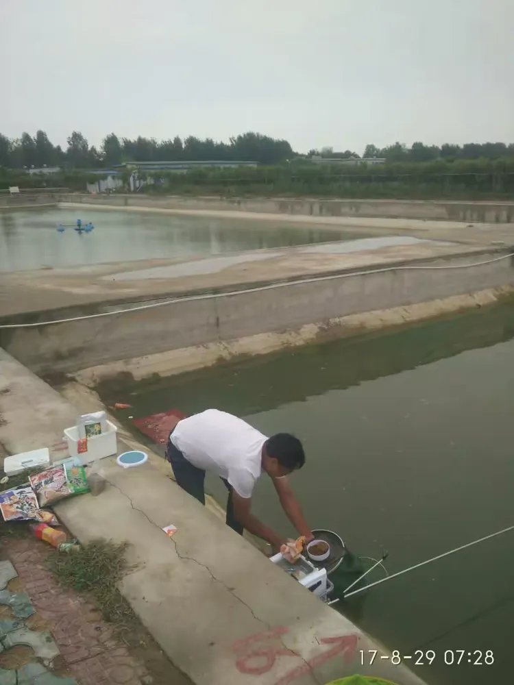 2017偷驴饵料配方(天热黑坑偷驴鲤鱼饵料味型)