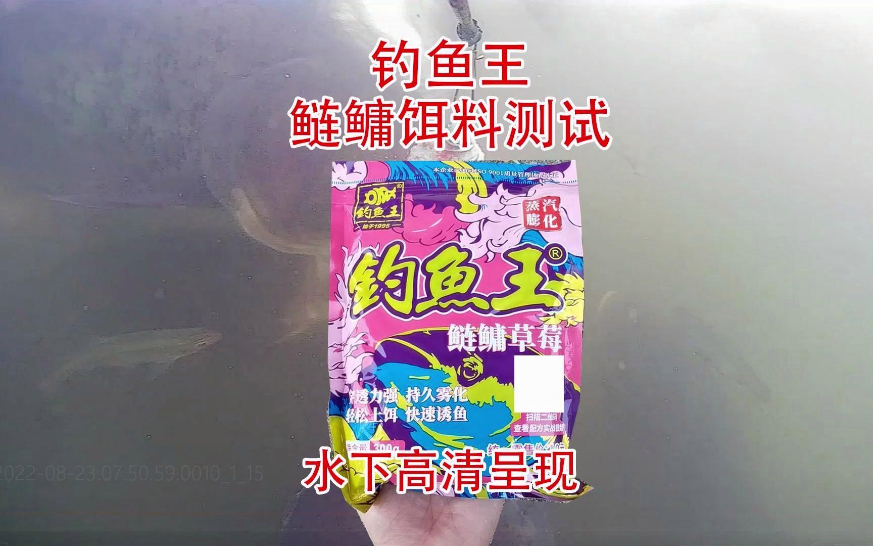 饵料钓鱼水下(饵料在水中的状态)