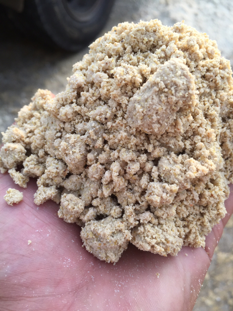 玉米渣自制饵料(玉米渣做鱼饵教程)