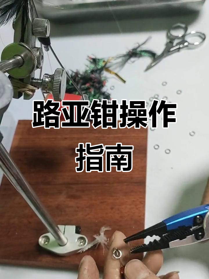 路亚钳的使用(路亚钳使用技巧视频)