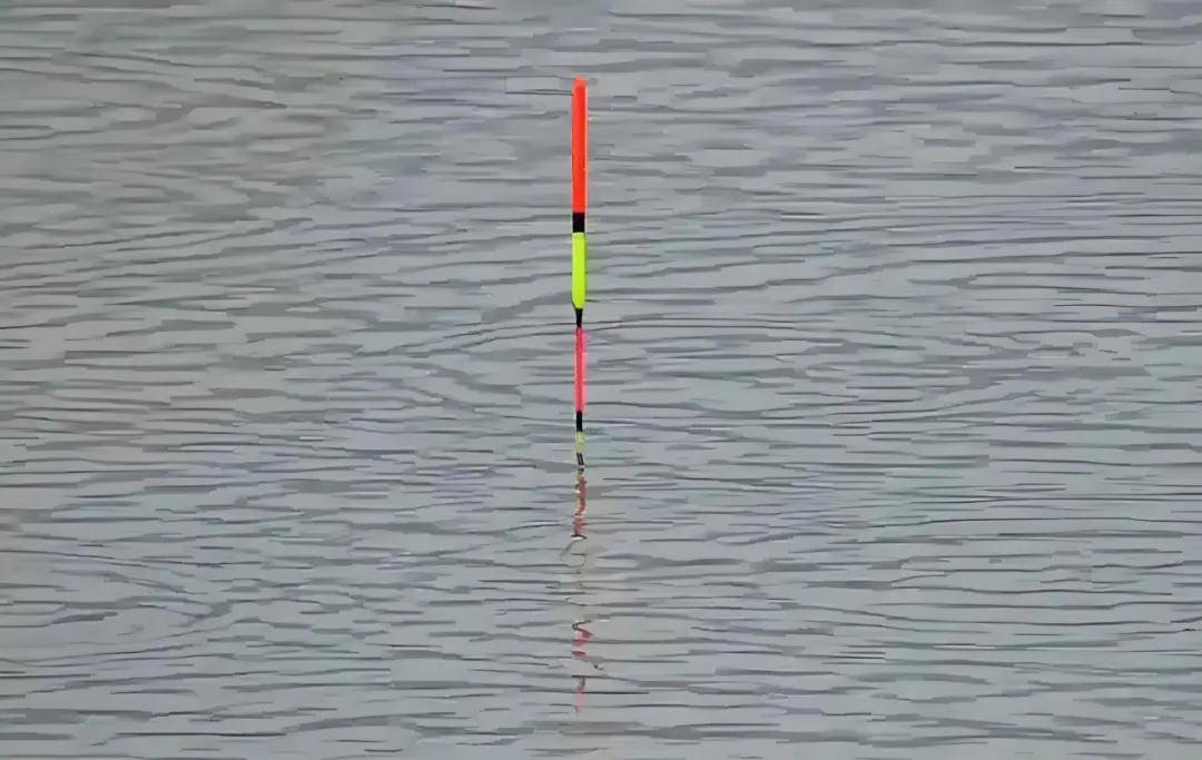 钓鲮鱼看漂技巧视频(钓鲮鱼怎样看漂提竿视频)