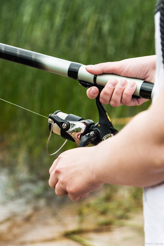 路亚枪柄抛投(路亚枪柄抛投视频)