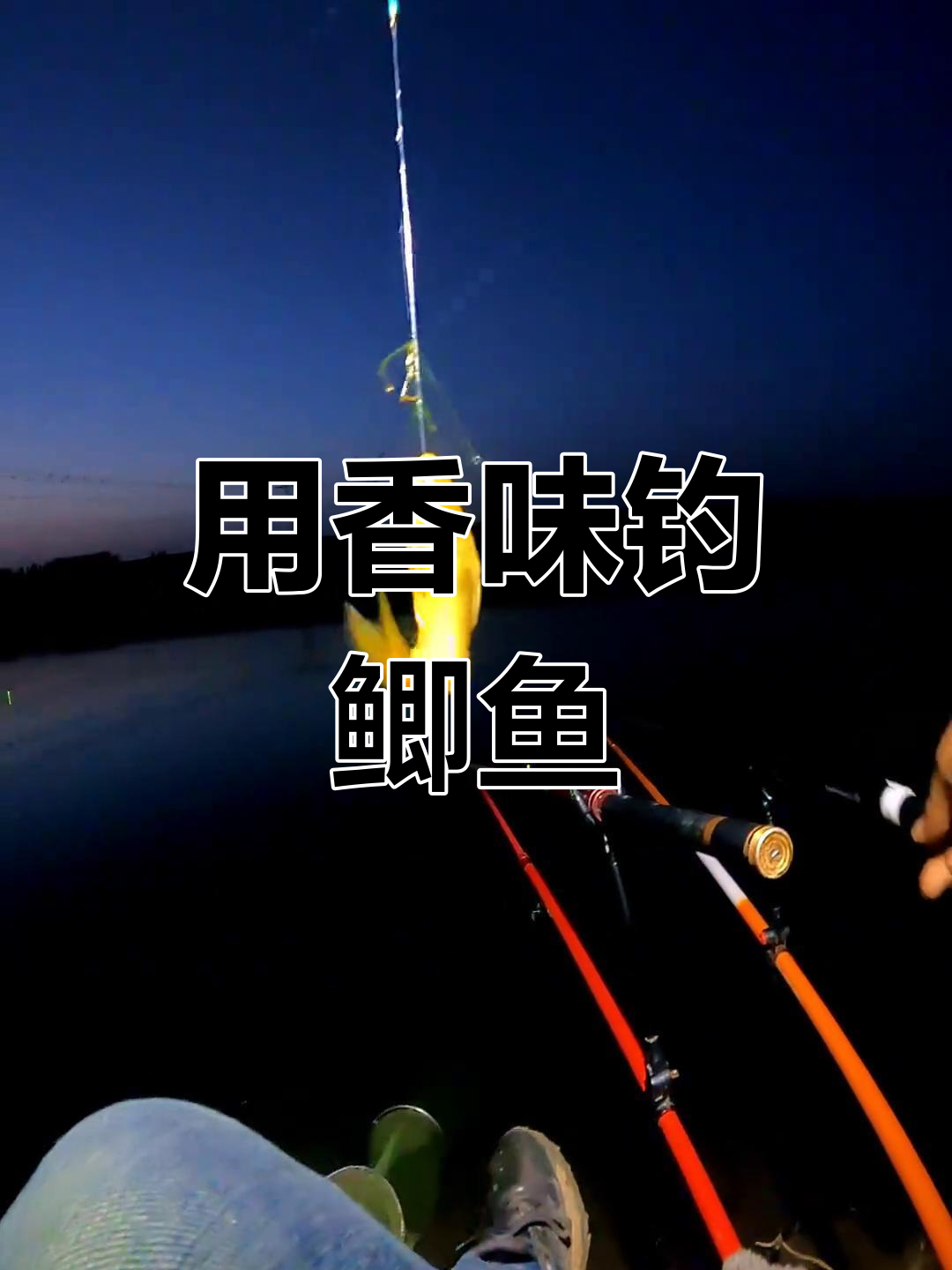 野钓饵料味型(野钓饵料味型选择)