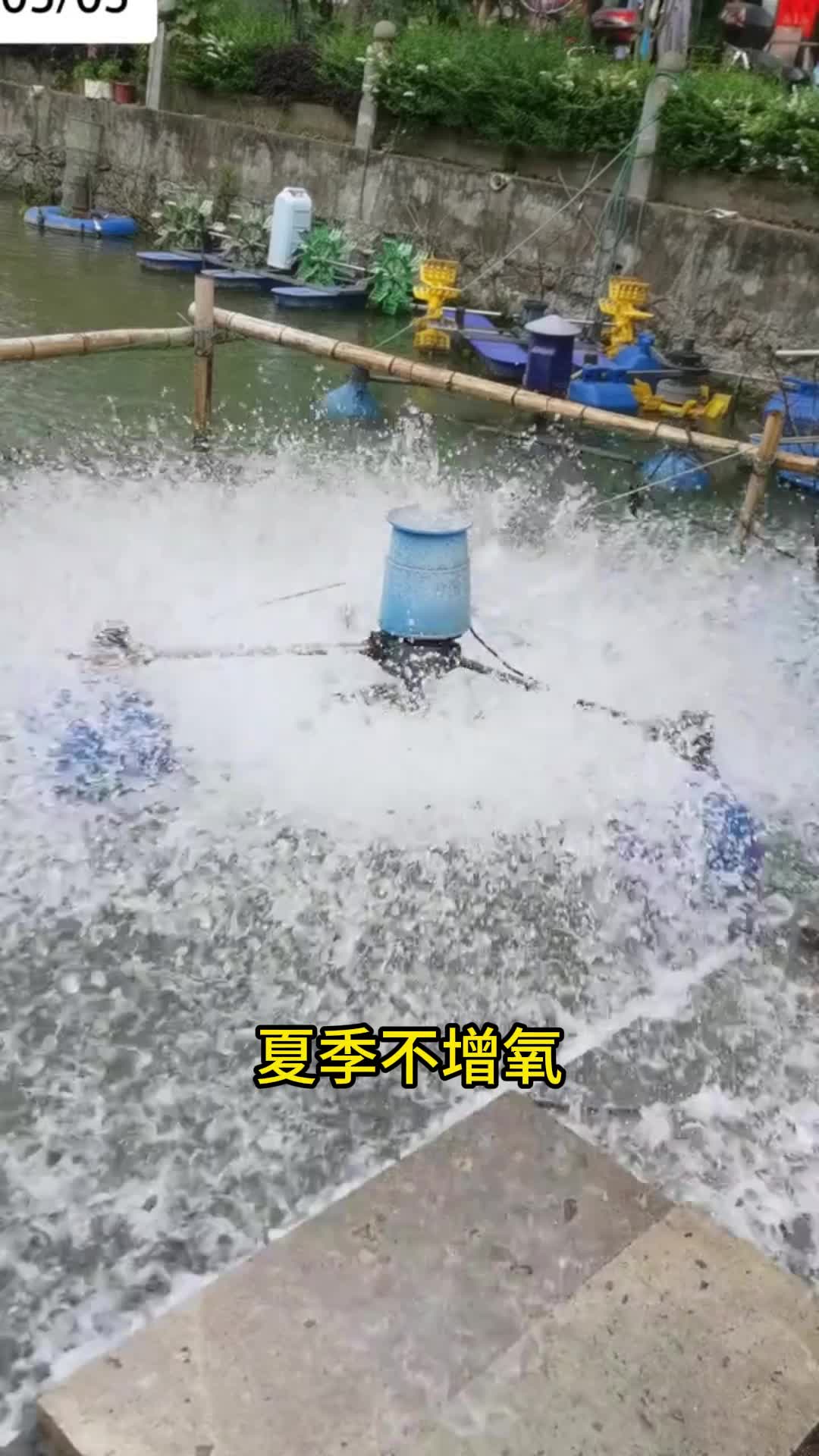 夏季肥水打窝技巧(夏季肥水打窝技巧图解)