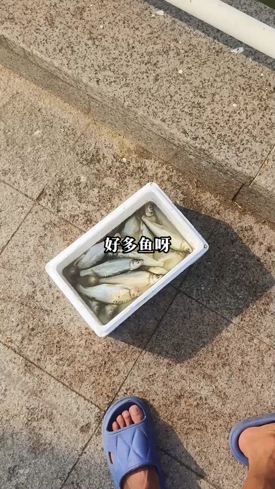 潍坊滨海钓鱼2016(潍坊滨海钓鱼13号坝图)