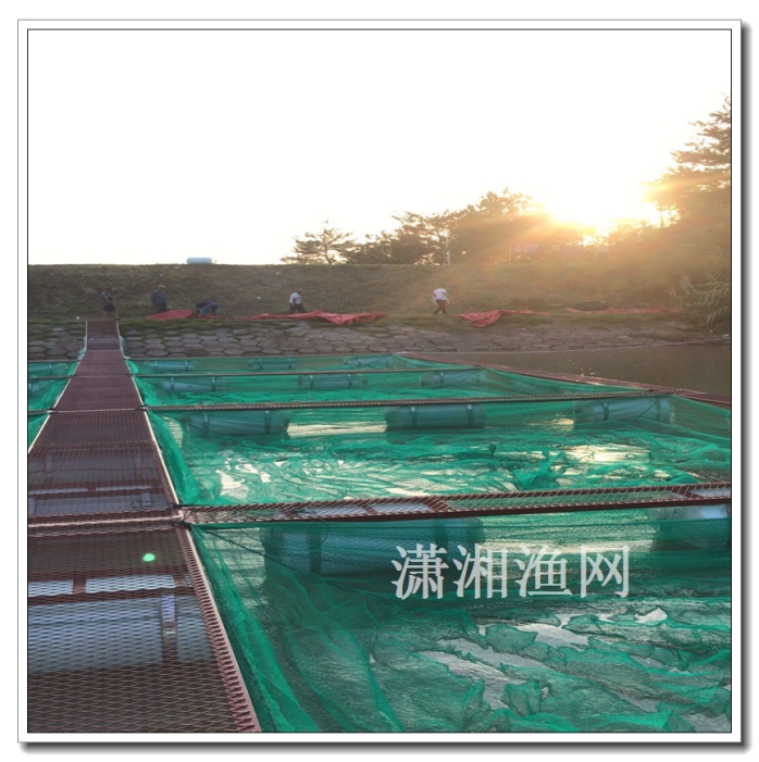 如何跑渔具业务(怎么开渔具店赚钱)