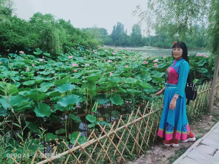 荷花坑溏钓鱼技巧(荷花池钓鱼怎么选钓位)