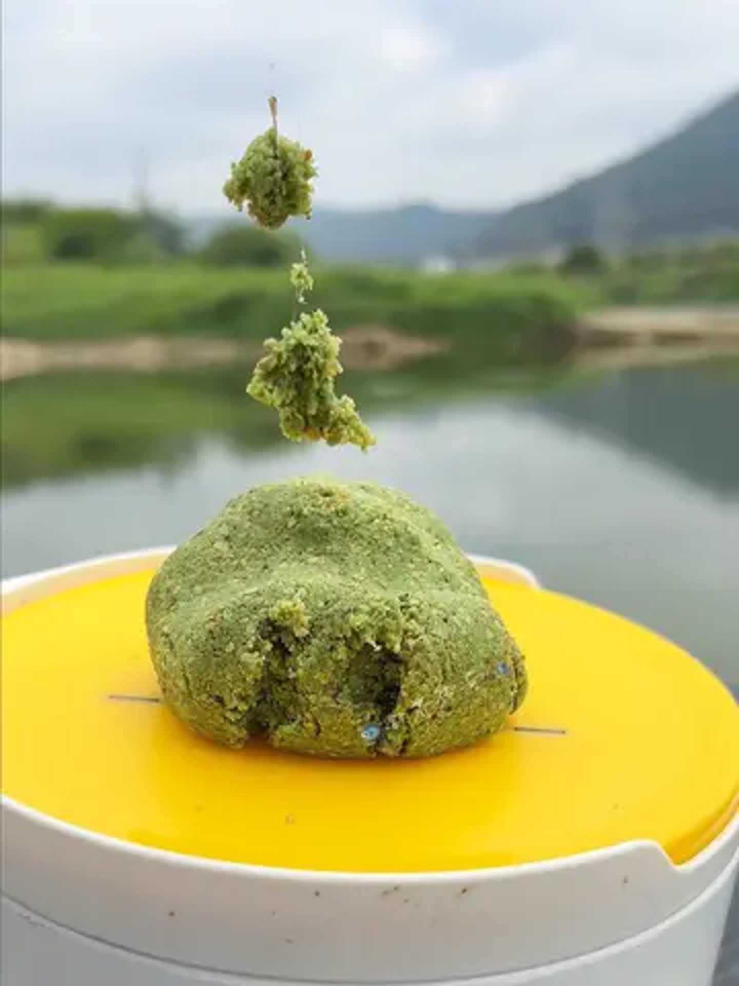 草力作饵料搭配(钓草鲤鱼饵料配方)