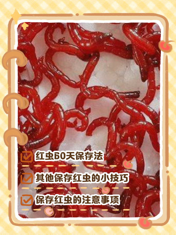 红虫怎样和饵料配制(红虫怎样和饵料配制好)