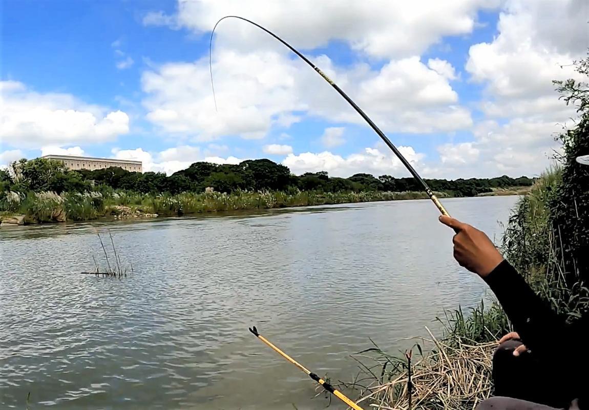 金州黑坑钓鱼技巧大揭秘的简单介绍