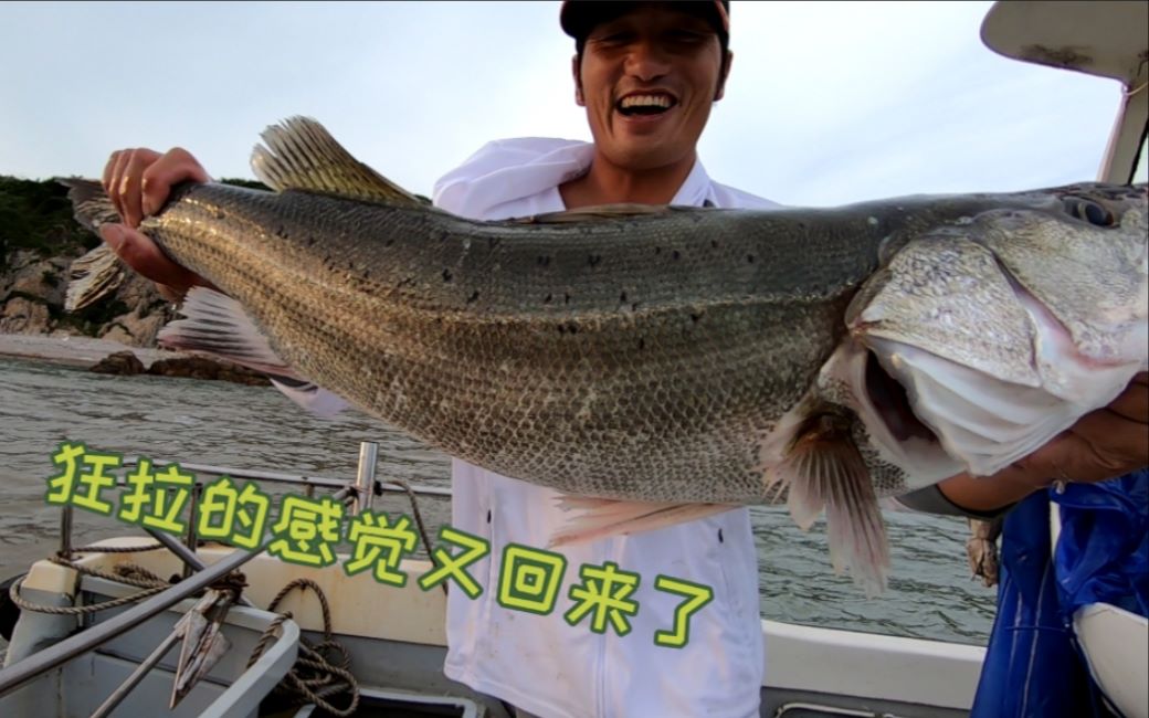 几月份海钓鲈鱼好(垂钓海鲈鱼一般在几月份)