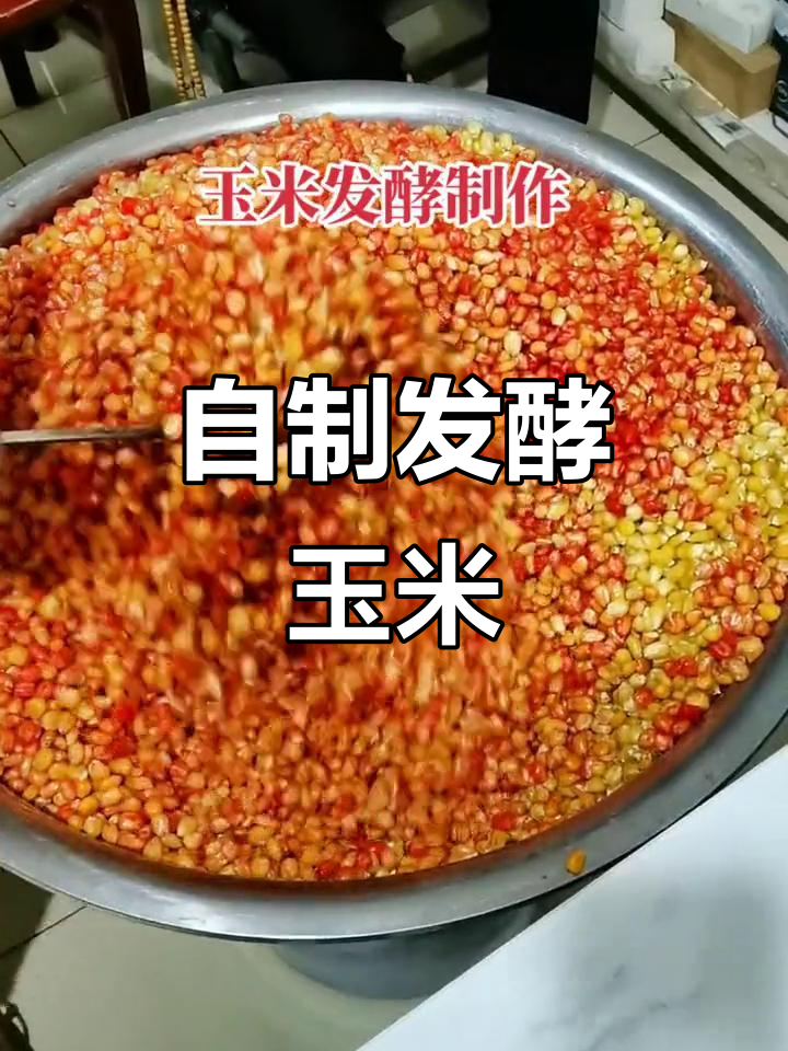 玉米粒自制鱼饵料配方(怎样用玉米粒自制钓鱼饵)