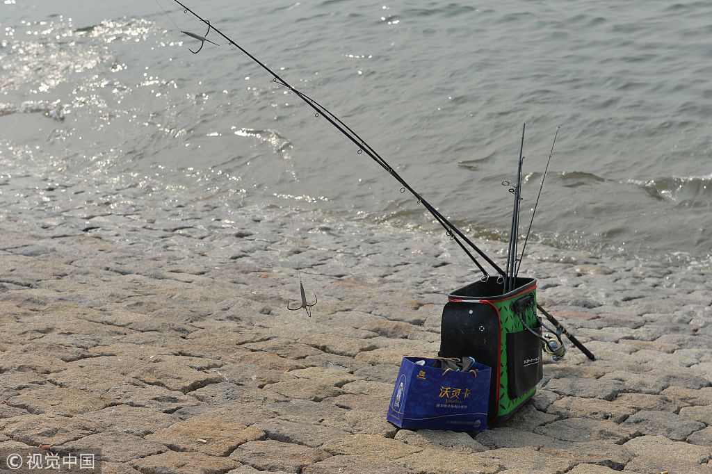 青岛冬天锚梭鱼技巧(冬天锚鱼怎么判断鱼的位置)